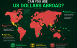 Can You Use US Dollars Abroad? A Country-by-Country Guide for Indian Travellers