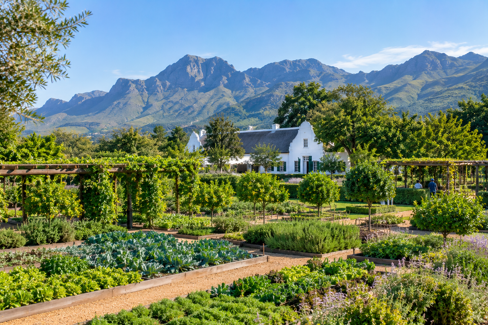 Babylonstoren, Cape Winelands