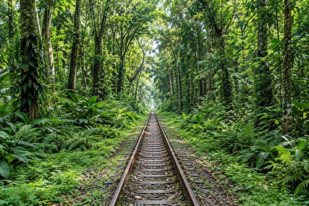 Lawachara National Park, Sylhet and Srimangal