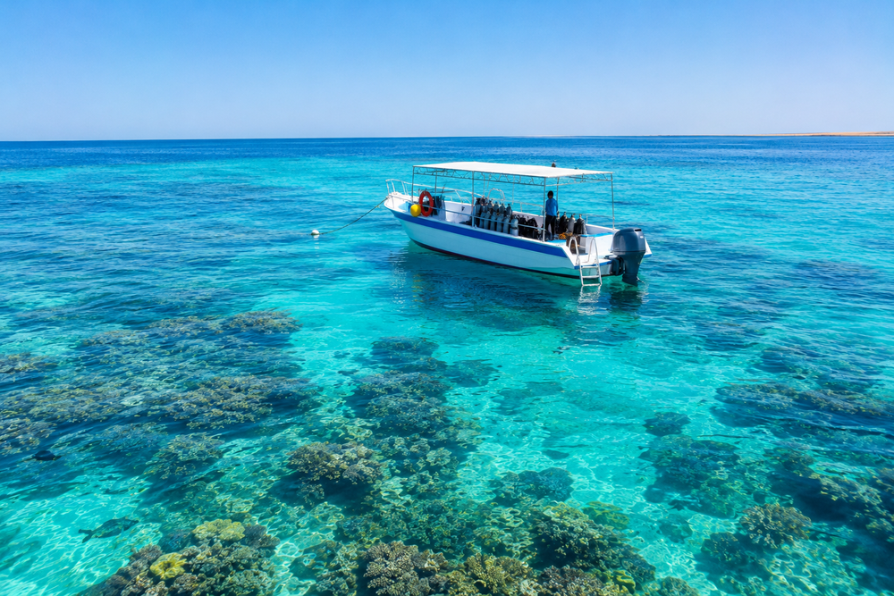 The Red Sea reefs, Jeddah