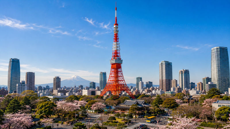 The Tokyo skyline stretching to the horizon