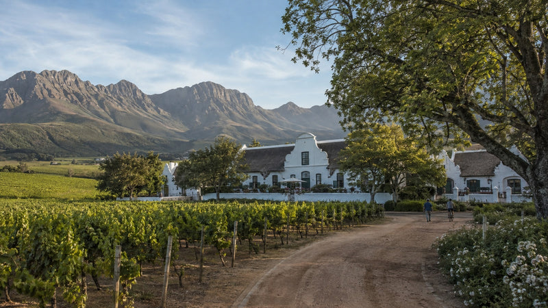 Cape Winelands